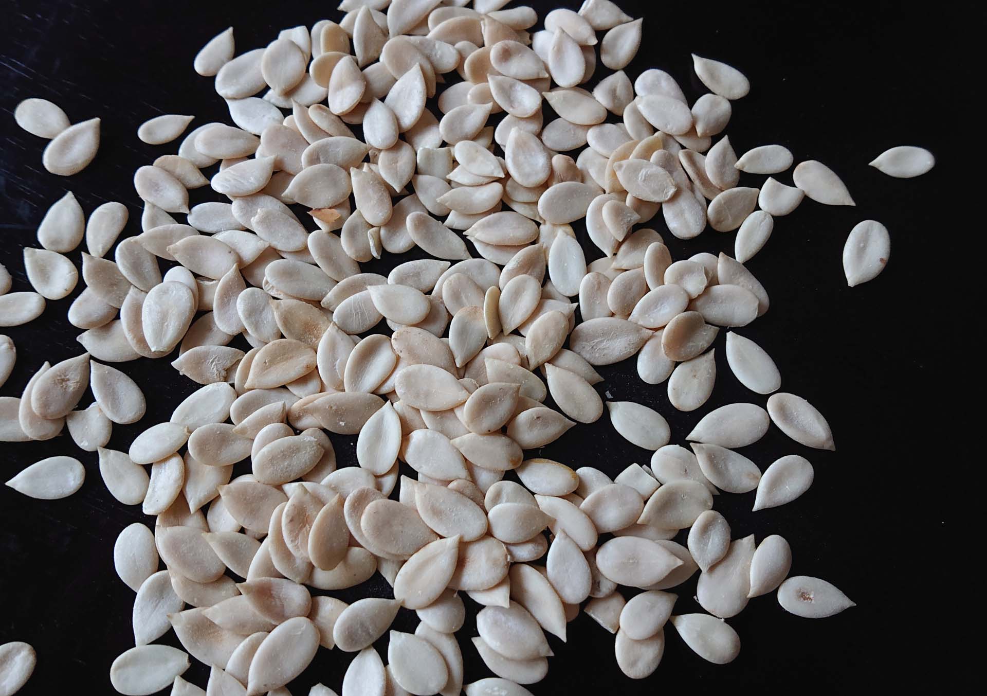 Egusi Melon Seeds- Popular African Ingredient